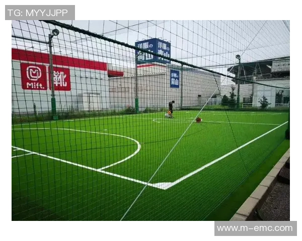 苏州足球场草坪养护与管理的最佳实践与经验分享